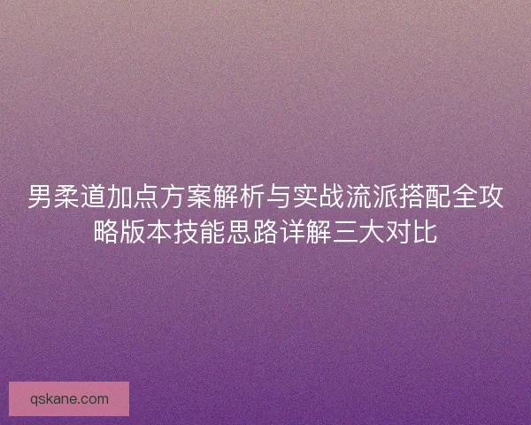 男柔道加点方案解析与实战流派搭配全攻略版本技能思路详解三大对比